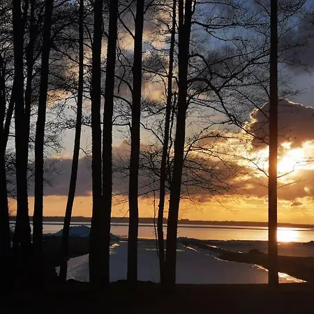 Vakantiehuis Hide In The Nature - Cozy Lakeside Saunacottage