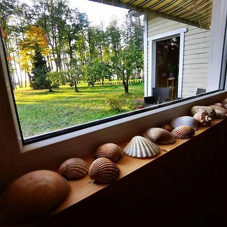 Vakantiehuis Hide In The Nature - Cozy Lakeside Saunacottage