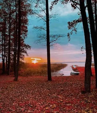 Hide In The Nature - Cozy Lakeside Saunacottage Rannakula (Tartu)